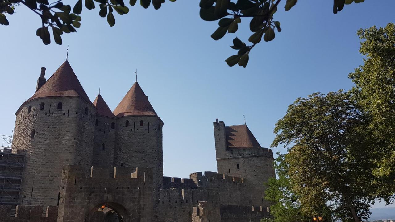 Maison Vue Cite 1 Villa Carcassonne Buitenkant foto