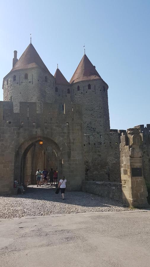 Maison Vue Cite 1 Villa Carcassonne Buitenkant foto